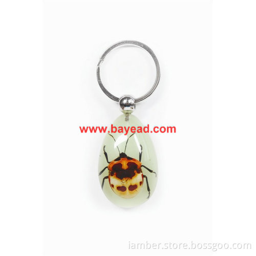 real insect amber keychains,bug keyring,very cool gift